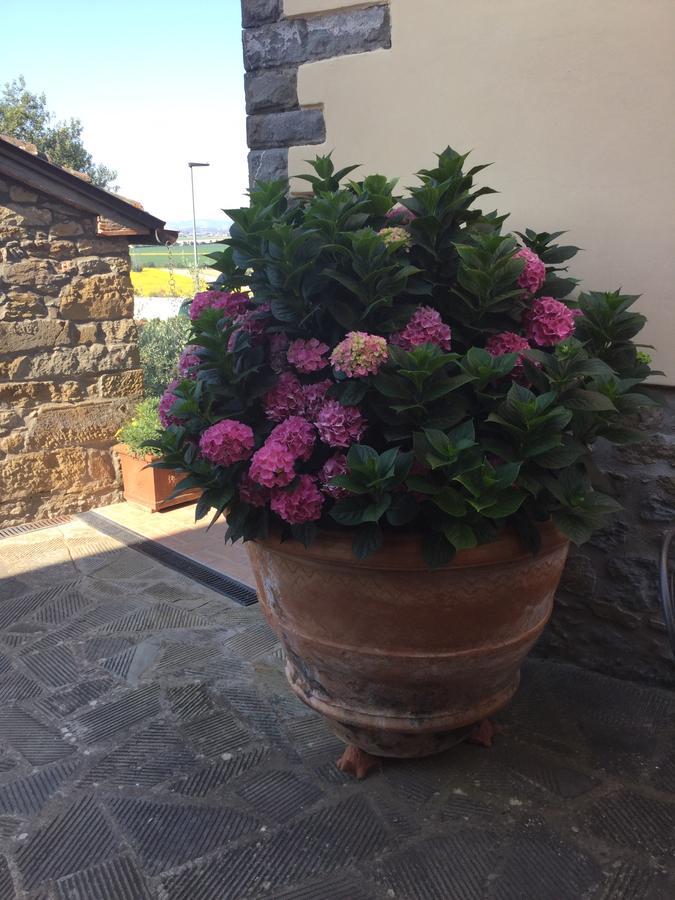 Agriturismo Borgo Tra Gli Olivi Кастільон-Фйорентіно Екстер'єр фото