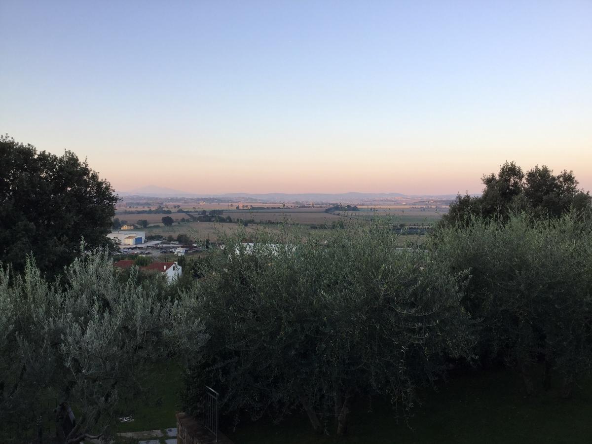 Agriturismo Borgo Tra Gli Olivi Кастільон-Фйорентіно Екстер'єр фото