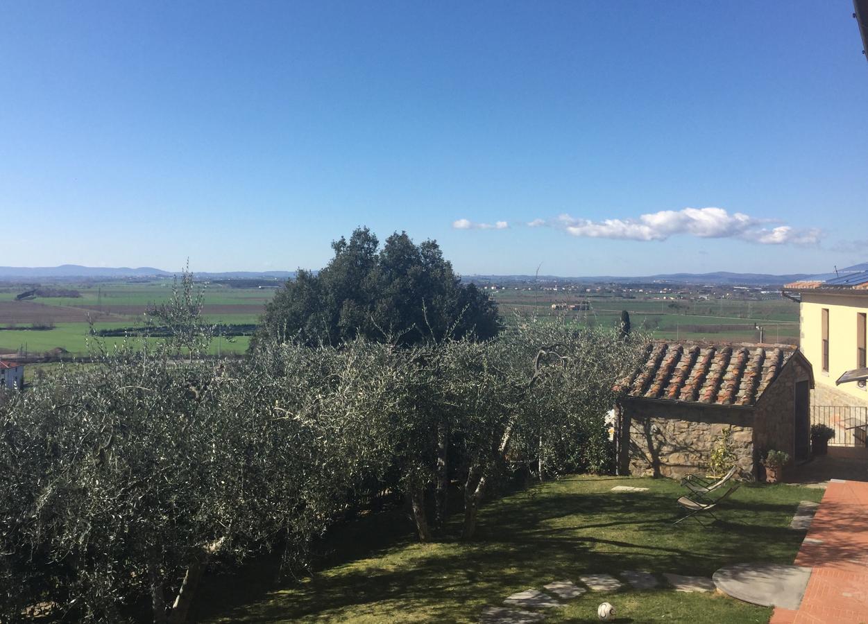 Agriturismo Borgo Tra Gli Olivi Кастільон-Фйорентіно Екстер'єр фото